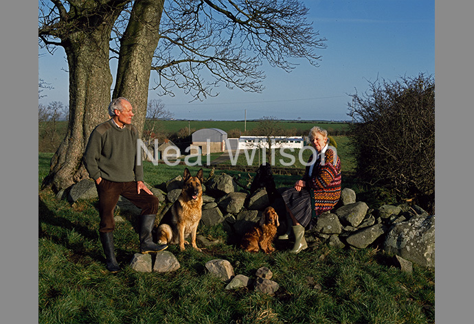 SunLife - Dog Kennel Owners, Northern Ireland