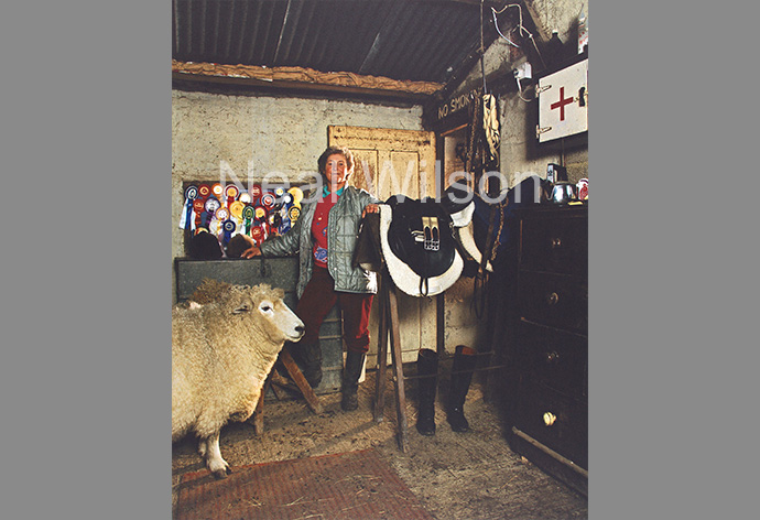 SunLife - Lady With Saddle & Sheep